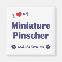 I Love My Miniature Pinscher (Female Dog) Magnet