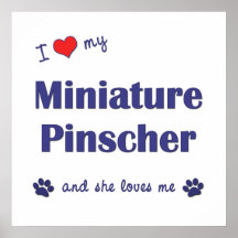 I Love My Miniature Pinscher (Female Dog) Posters