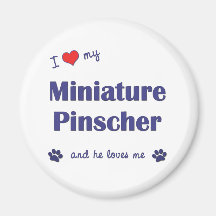 I Love My Miniature Pinscher (Male Dog) Refrigerator Magnets