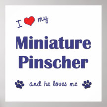 I Love My Miniature Pinscher (Male Dog) Print