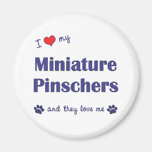 I Love My Miniature Pinschers (Multiple Dogs) Refrigerator Magnets