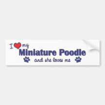 I Love My Miniature Poodle (Female Dog) Bumper Sticker