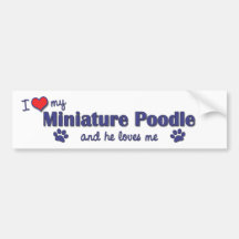 I Love My Miniature Poodle (Male Dog) Bumper Stickers