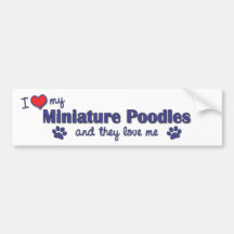 I Love My Miniature Poodles (Multiple Dogs) Bumper Sticker