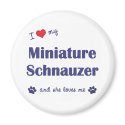 I Love My Miniature Schnauzer (Female Dog) magnets by thatsalottadogs I Love My Miniature Schnauzer (Female Dog) magnets