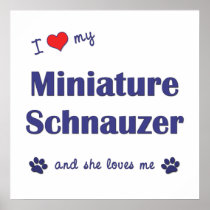 I Love My Miniature Schnauzer (Female Dog) Poster