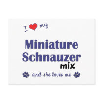 I Love My Miniature Schnauzer Mix (Female Dog) postcards