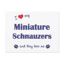 I Love My Miniature Schnauzers (Multiple Dogs) postcards