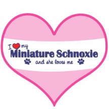 Schnoxie Pictures