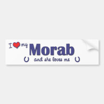 I Love My Morab (Female Horse) Bumper Stickers
