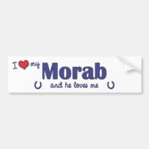 I Love My Morab (Male Horse) Bumper Sticker