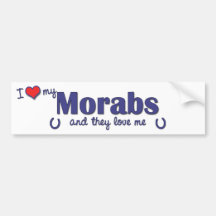 I Love My Morabs (Multiple Horses) Bumper Stickers