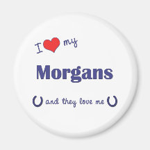 I Love My Morgans (Multiple Horses) Magnets