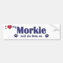 I Love My Morkie (Female Dog) Bumper Stickers