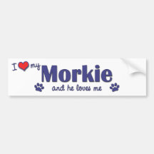I Love My Morkie (Male Dog) Bumper Stickers