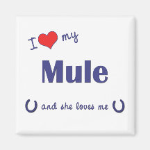 I Love My Mule (Female Mule) Fridge Magnets