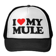 I LOVE MY MULE HAT