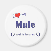I Love My Mule (Male Mule) Fridge Magnets