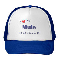 I Love My Mule (Male Mule) Mesh Hats