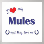 Thumbnail image for Love My Mules