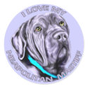 I Love my Neapolitan Mastiff sticker