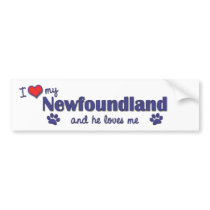 I Love My Newfoundland (Male Dog) bumper stickers