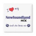 I Love My Newfoundland Mix (Female Dog) magnets by muttybuddy I Love My Newfoundland Mix (Female Dog) magnets