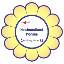 I Love My Newfoundland Ponies (Multiple Ponies) Acrylic Cut Out