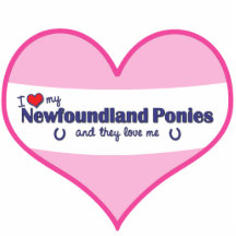 I Love My Newfoundland Ponies (Multiple Ponies) Cut Outs
