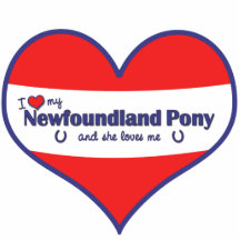 I Love My Newfoundland Pony (Female Pony) Cut Out