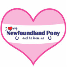I Love My Newfoundland Pony (Male Pony) Photo Cut Outs