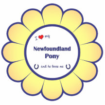 I Love My Newfoundland Pony (Male Pony) Photo Sculptures