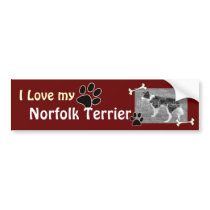I love my Norfolk Terrier Bumper Sticker bumper stickers