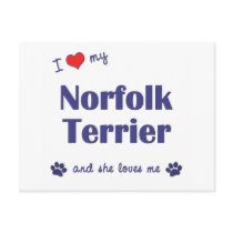 I Love My Norfolk Terrier (Female Dog) postcards by thatsalottadogs I Love My Norfolk Terrier (Female Dog) postcards