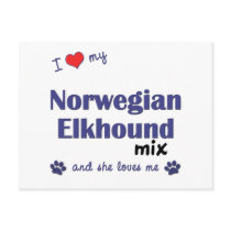 I Love My Norwegian Elkhound Mix (Female Dog) postcards