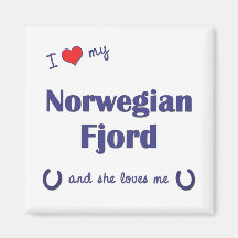 I Love My Norwegian Fjord (Female Horse) Refrigerator Magnet