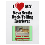 I Love My Nova Scotia Duck-Tolling Retriever Full Color Flyer