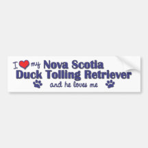 I Love My Nova Scotia Duck Tolling Retriever (He) Bumper Sticker