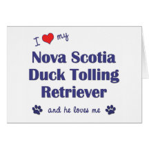 I Love My Nova Scotia Duck Tolling Retriever (He) Cards