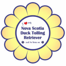 I Love My Nova Scotia Duck Tolling Retriever (He) Photo Cutouts