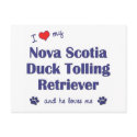 I Love My Nova Scotia Duck Tolling Retriever (He) postcards by thatsalottadogs I Love My Nova Scotia Duck Tolling Retriever (He) postcards