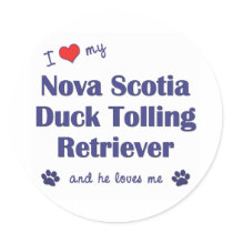I Love My Nova Scotia Duck Tolling Retriever (He) Sticker