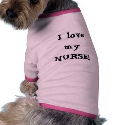 Pet Nurse