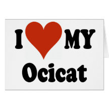 I Love My Ocicat Cat Merchandise Card