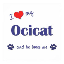 I Love My Ocicat (Male Cat) posters