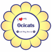 I Love My Ocicats (Multiple Cats) Acrylic Cut Outs