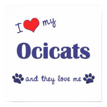 I Love My Ocicats (Multiple Cats) posters