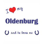 oldenburg, oldenburg horse, i love my oldenburg, i
