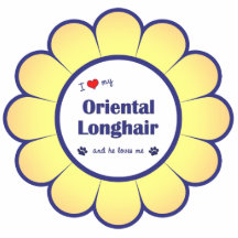 I Love My Oriental Longhair (Male Cat) Photo Sculptures