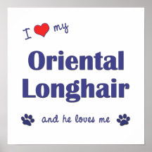 I Love My Oriental Longhair (Male Cat) Poster